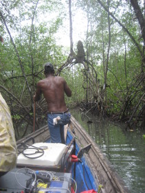 Mangrove swamp resistivity survey